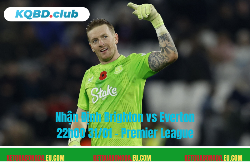 Đội hình dự kiến trước trận Brighton vs Everton Đội hình dự kiến trước trận Brighton vs Everton