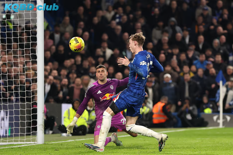 Đội hình dự kiến trước trận Chelsea vs Leeds Đội hình dự kiến trước trận Chelsea vs Leeds